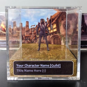 May include: A miniature figurine of a character in a clear display case. The character is wearing a dark purple outfit and stands in front of a backdrop of a medieval town. The base of the case has text that reads "Your Character Name [Guild]" and "Title Name Here (1)".