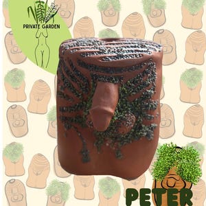May include: A terracotta-colored planter with a phallic design, adorned with green plant accents. The planter has the word "PETER" in green text at the bottom. The background features a repeating pattern of small planters.