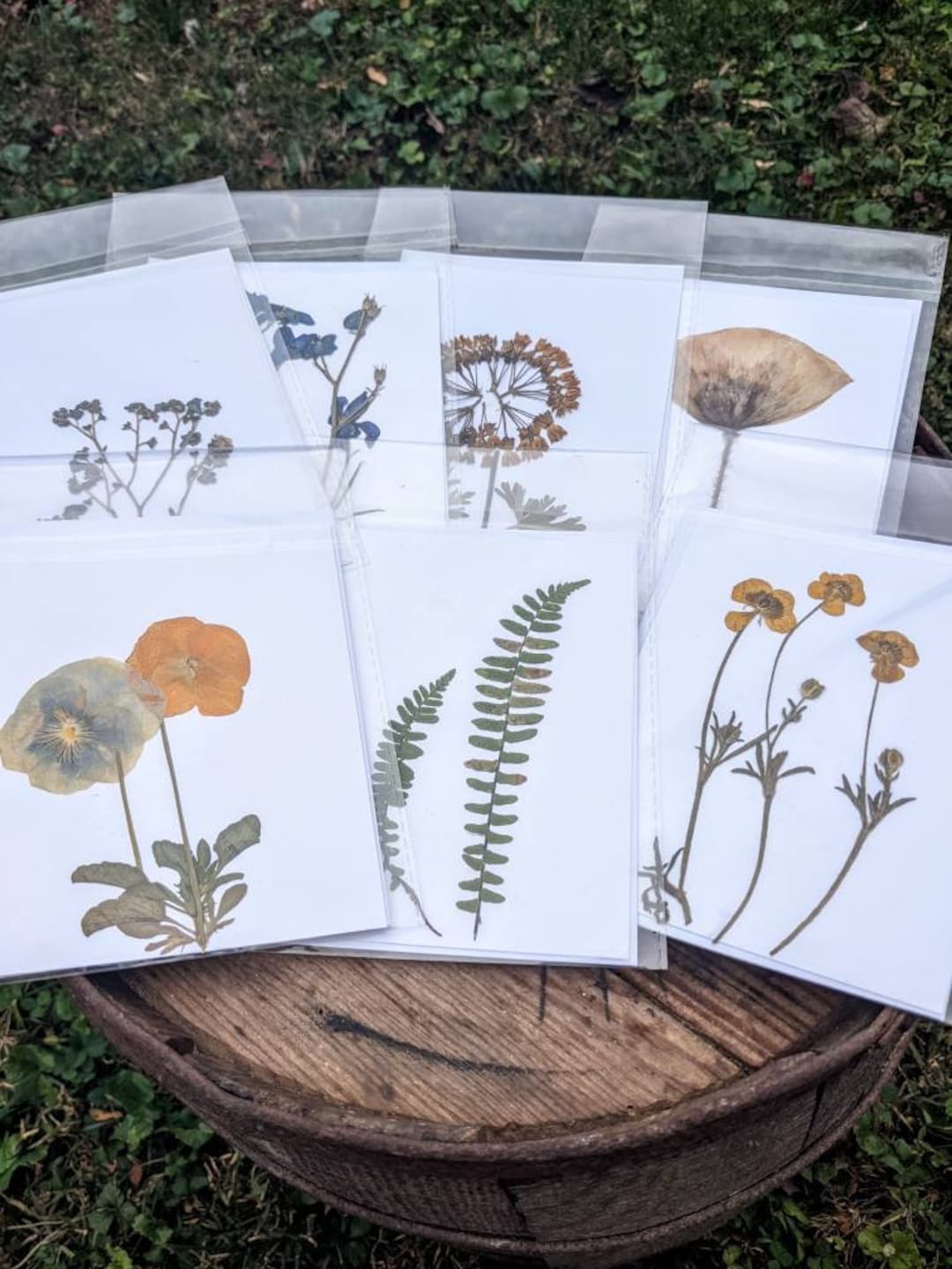 Pressed Flower Note Cards Handmade Homegrown - Etsy