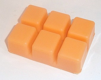 CITRUS SOARIN' (Orange und Evergreen) Breakaway Melts