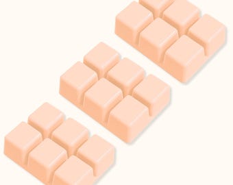 Disney Polynesian scent, Hotel scent, Tropical Spice, Polynesian Paradise breakaway melts, set of three