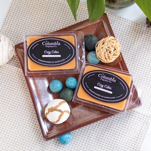 Cozy Cabin (Fresh Fallen Leaves and Patchouli) breakaway melts