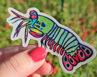 Mantis Shrimp Holographic Star Sticker Watercolor and Linocut