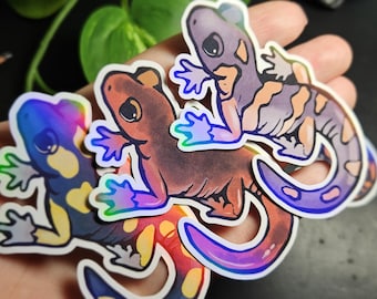 Ensatina Salamander Stickers Set of 7 Ring Species California Native Salamander Science Stickers Ecology Biology Gift Laptop Stickers