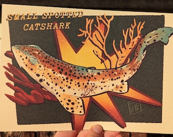 A5 Small Spotted Catshark Print