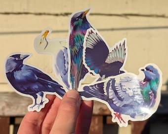 3" Bird Vinyl Sticker | Waterproof