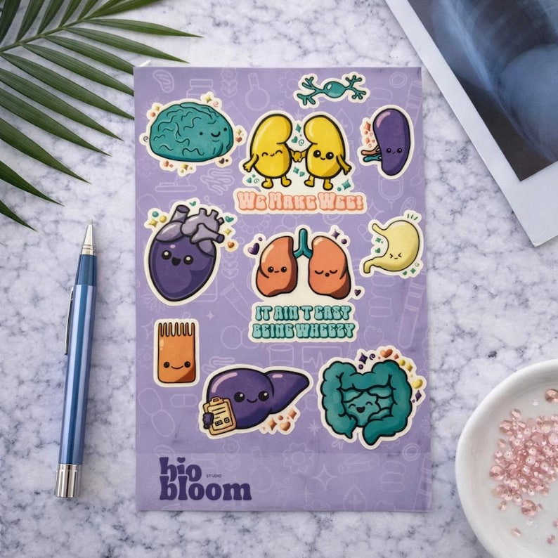 Biomedical Organ Sticker Sheet – Anatomy Vinyl Stickers - Etsy