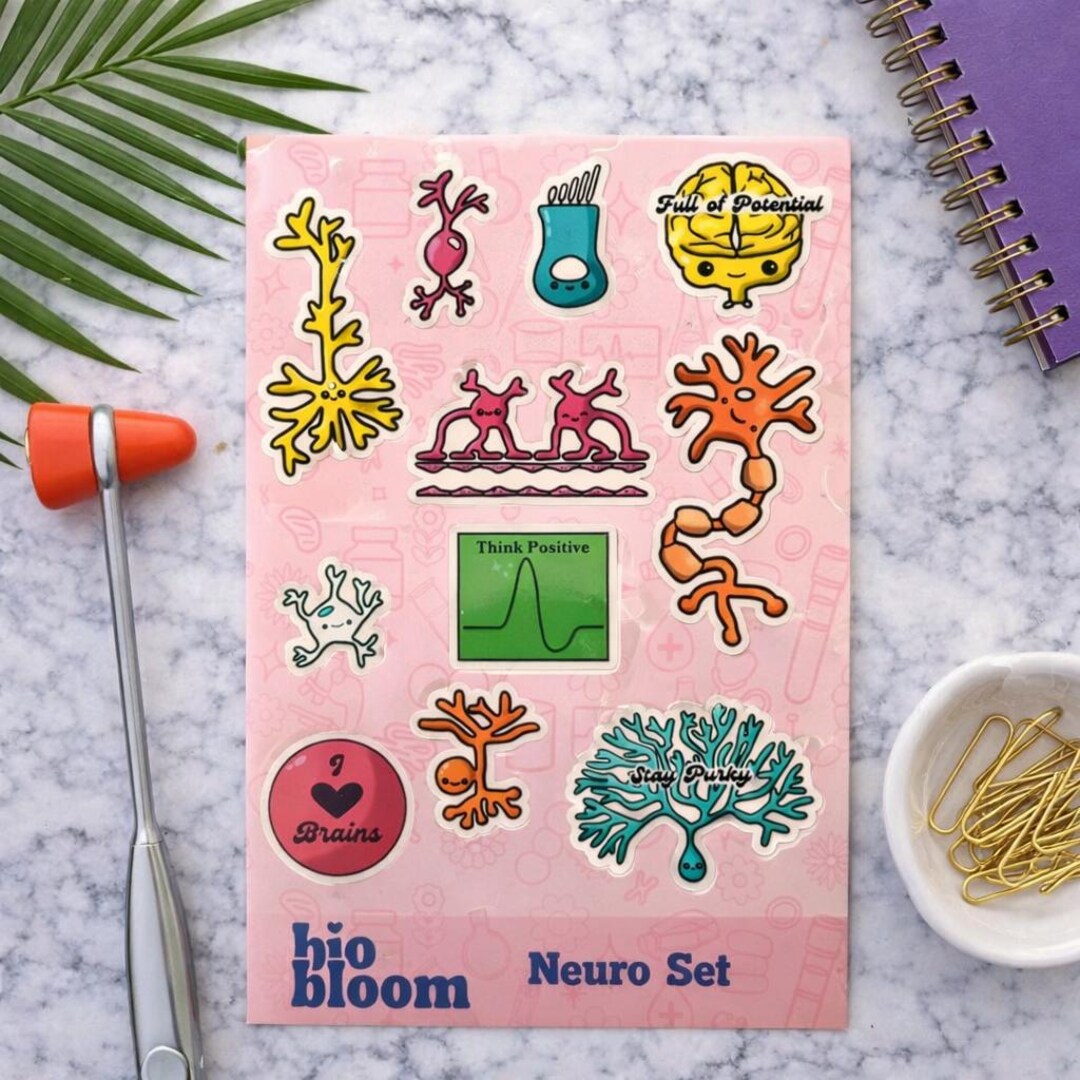 Neuro Set Sticker Sheet – Biomedical Science Art - Etsy