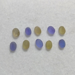 May include: Ten oval sea glass pieces in lavender and pale yellow hues. The frosted glass has a smooth, tumbled look. The pieces are arranged on a white surface, showcasing their natural appearance.