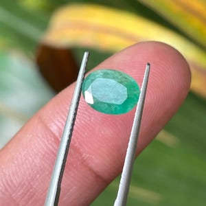 Puede incluir: Una piedra preciosa verde translúcida de corte ovalado con una superficie facetada, sostenida por unas pinzas metálicas dentadas. La piedra muestra un tono esmeralda vibrante con inclusiones internas visibles y facetas que reflejan la luz.