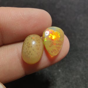 Puede incluir: Se muestran dos ópalos. Uno es ovalado con un patrón moteado, y el otro tiene forma de lágrima, mostrando colores internos vibrantes amarillos, naranjas y rojos. Los ópalos se sostienen entre los dedos.