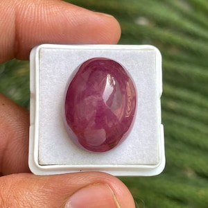 May include: An oval-shaped, deep magenta-coloured gemstone with a smooth, polished cabochon surface. The stone is set within a square white display box, showcasing its translucent quality and reflective surface under bright lighting conditions.
