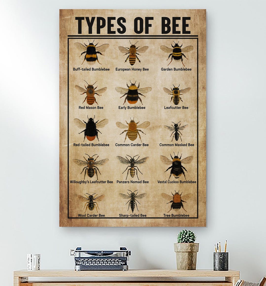 Types of Bee Poster, Vintage Bee Chart Print, Entomology Wall Art ...