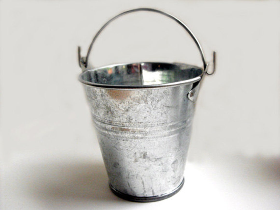 Small bucket galvanized