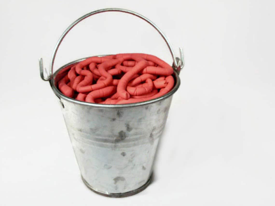 Fishing Ornament Bucket of Worms Worm Ornament Gift for Etsy New Zealand