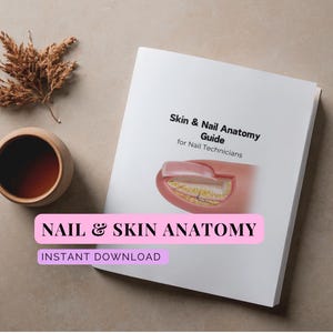 ネイル技術者のための皮膚と爪の解剖学ガイド