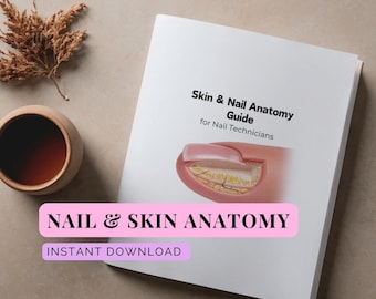 Guia de anatomia da pele e das unhas para técnicos de unhas