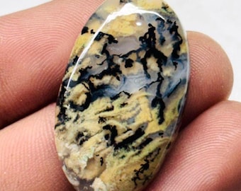 May include: Oval-shaped gemstone with a unique pattern. The stone features a mix of colors, including yellow, black, and white, creating a natural, artistic design. The polished surface of the stone is smooth and reflective, highlighting the intricate details.