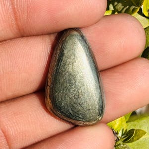 Puede incluir: Una piedra preciosa pulida en forma de lágrima con brillo metálico. La piedra presenta una mezcla de tonos grises y plateados, con estrías visibles que crean una apariencia texturizada. La gema se sostiene en una mano, con follaje verde al fondo.