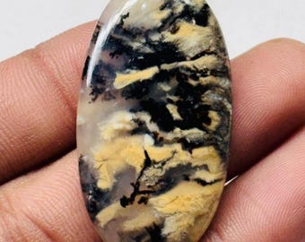 May include: Oval-shaped gemstone with a polished surface. The stone features a mix of colors, including black, yellow, and cream, creating a unique pattern. The gemstone is held in a hand, showcasing its size and shape.