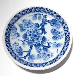 May include: A circular, white ceramic plate with a blue floral pattern. The plate showcases a detailed illustration of blue flowers and leaves, with a patterned border. The design is centrally placed, creating a decorative and elegant aesthetic.