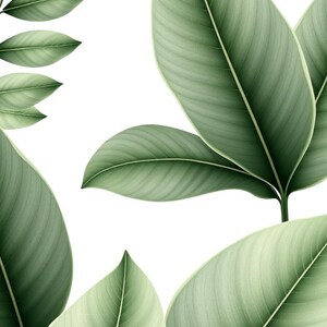 Sage Green Botanical Leaves Printable Wall Art, Digital Download, Instant Download Print Set image 1