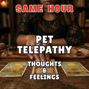 Pet Psychic Reading, Same Hour, Lost Pet | Cat & Dog Tarot, Animal | What is Your Pet Thinking? | Thoughts, Feelings | Soul Bond