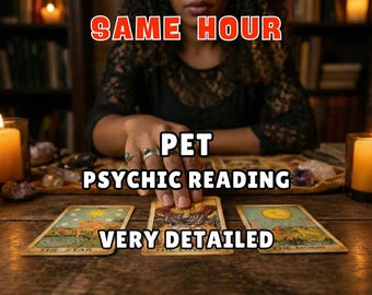 Lecture psychique d'animal de compagnie, même heure, moyenne, tarot, messages d'animaux de compagnie vivants ou décédés, pont arc-en-ciel