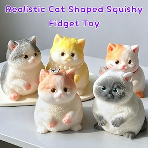 May include: Five cat-shaped squishy fidget toys in various colors including gray, yellow, orange, and white. The text Realistic Cat Shaped Squishy Fidget Toy is displayed above the figures. Each cat has a rounded body, small ears, and large eyes.