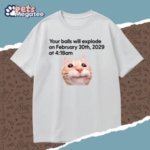 May include: White t-shirt with a graphic of a smiling orange tabby cat and the text "Your balls will explode on February 30th, 2029 at 4:18am." The shirt has short sleeves and a crew neck.