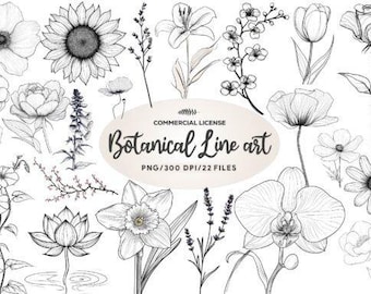 22 imágenes prediseñadas de arte lineal botánico PNG / Dibujos florales / Conjunto minimalista de bocetos florales / Ilustraciones botánicas elegantes