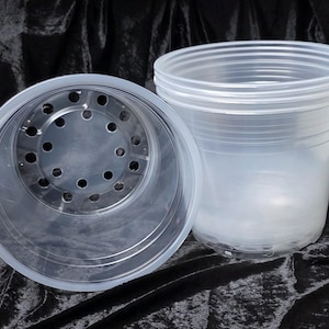 5 pack - 10" clear nursery pot