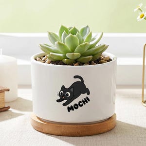 Pot de fleurs personnalisé avec nom d'animal de compagnie, cache-pot de chat personnalisé, jardinière de chat noir, cadeau mignon pour amoureux des animaux, décoration d'intérieur pour amoureux des animaux de compagnie