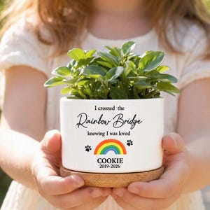 Gepersonaliseerde gedenkbloempot voor huisdierliefhebbers, op maat gemaakte pot ter nagedachtenis aan een hond of kat, regenboogbruggeschenk, aandenken aan uw huisdier, troostende decoratie