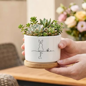 Può includere: Un vaso cilindrico in ceramica bianca con sottovaso in bambù, contenente una varietà di piante succulente verdi. La parte anteriore del vaso presenta un'illustrazione a linee nere di una sagoma di coniglio e il nome Daisy in corsivo.