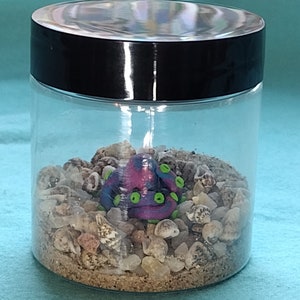 Mystery Pet Octopus Enclosure Kit - Etsy
