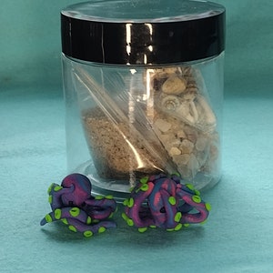 Mystery Pet Octopus Enclosure Kit - Etsy