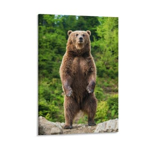 Stampa su tela con orso bruno, poster artistico sulla fauna selvatica