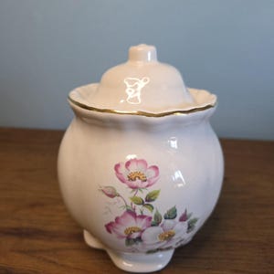 Vintage keramische pot/bus met Briar Rose-patroon van House of Webster.