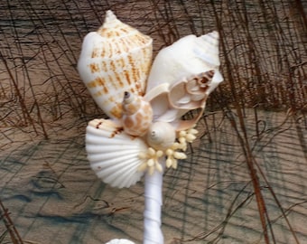 May include: A seashell bouquet with a white stem and a variety of seashells in shades of white, brown, and beige.
