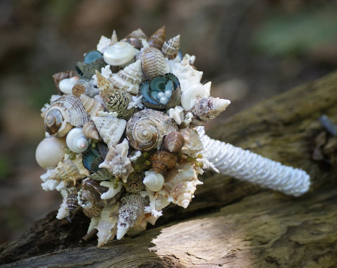 Limpet Seashell Bouquet / Beach Bouquet