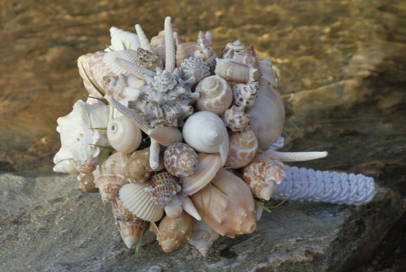 Shellbee Shell Bouquet Seashell Bouquet / Beach Bouquet - Etsy