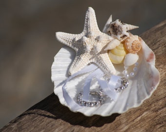 Seashell Ring Bearer Shell