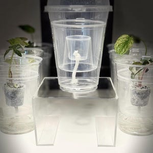 TC Bomber Dome - Bundle -  Self Watering, Designed for Tissue Culture Acclimation, set of 6-12-24