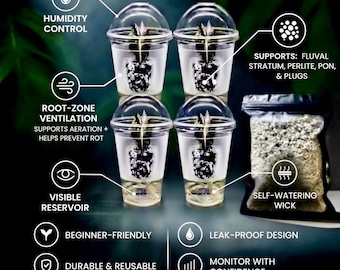 Peut inclure: Système d'acclimatation auto-arrosant VlvtLEAF BOMBER DOME pour cultures tissulaires, cormes et boutures. Comprend quatre gobelets en plastique transparent avec couvercles bombés, réservoir visible, ventilation racinaire et mèche auto-arrosante.