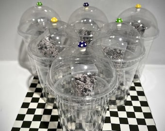 Perlite/Fluval mix + 6pack TC Bomber Dome Self Watering Tissue Culture Acclimation kit.