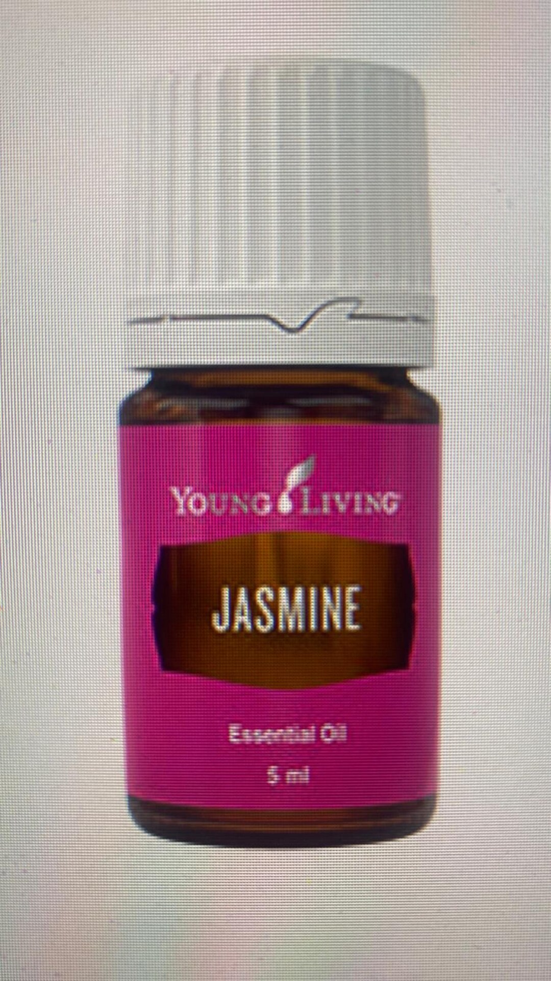 Young Living Jasmine Essential Oil 5ml - Etsy Canada