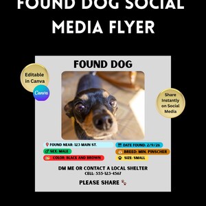 May include: A social media flyer for a lost dog, with a photo of a black and brown Miniature Pinscher. The flyer includes details such as the location, date found, breed, and size, encouraging sharing on social media platforms.