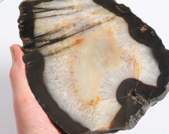 1930g, 4 lb 4oz, Raw cut Agate specimen 7.5" geode slice. Polished, Raw.