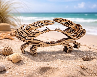 Crab Shaped See Through Shark Tooth and Sea glass Display Case